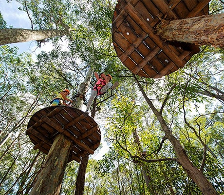 TreeTop Adventure Park, Coffs Harbour, NSW Australia