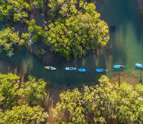 Wajaana Yaam Gumbaynggirr Adventure Tours, NSW Australia