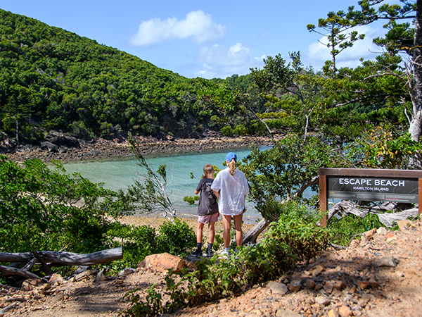 Hamilton Island beach