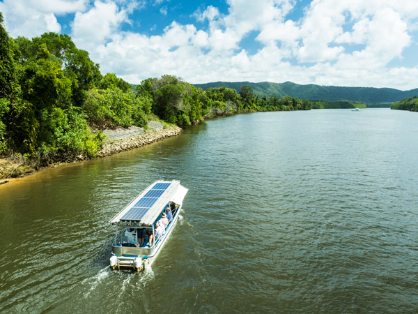 a Crocodile Cruise River Tour on a Solar Whisper boat, Daintree River