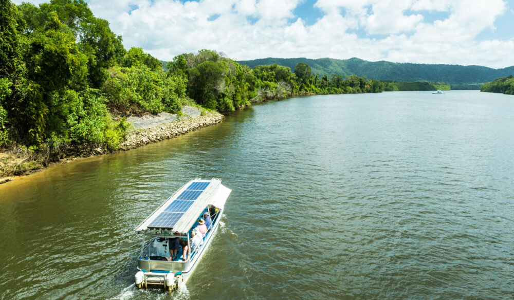 a Crocodile Cruise River Tour on a Solar Whisper boat, Daintree River