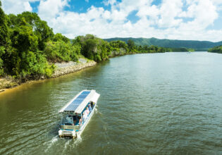 a Crocodile Cruise River Tour on a Solar Whisper boat, Daintree River