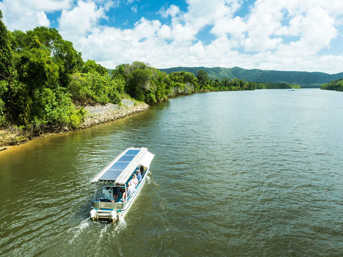 a Crocodile Cruise River Tour on a Solar Whisper boat, Daintree River