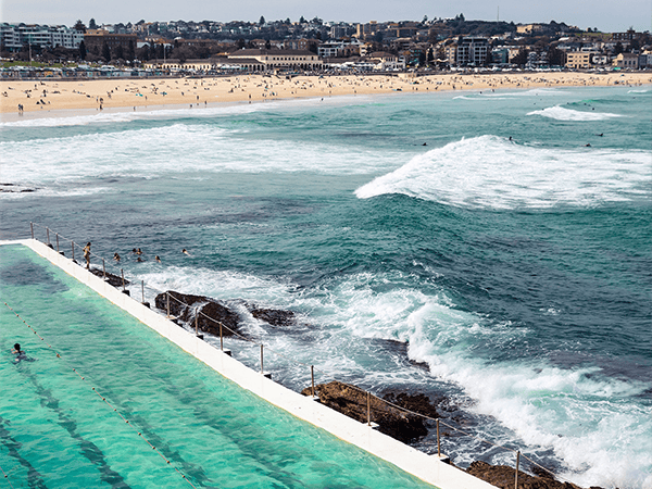 Bondi Icebergs