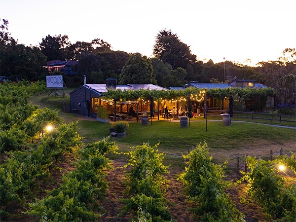 Gourmet Traveller Wine Best Cellar Door - Jack Rabbit Vineyard