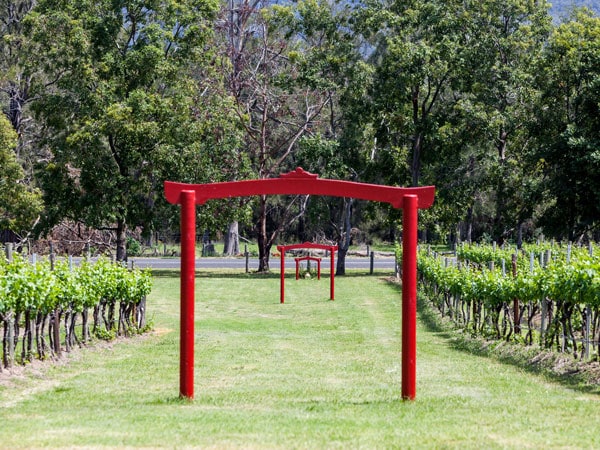 the vineyard at Winmark Wines
