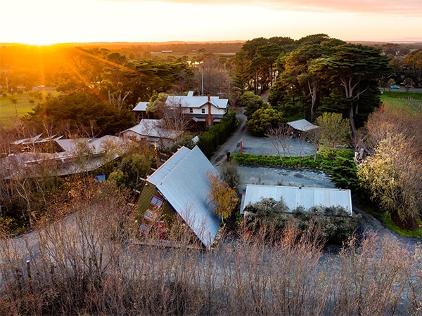 Oakdene Vineyards