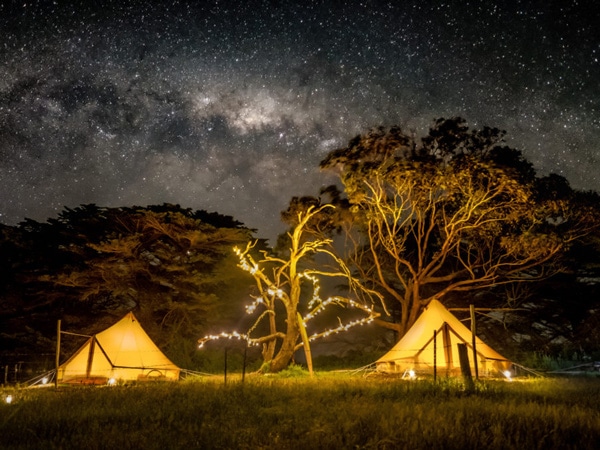 The Sheltered Glamping Co.