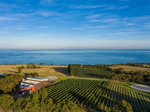 Jack Rabbit winery
