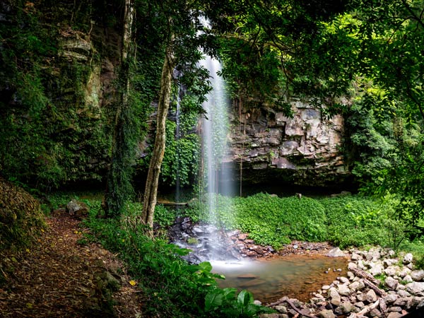 Crystal Shower Falls Dorrigo National Park