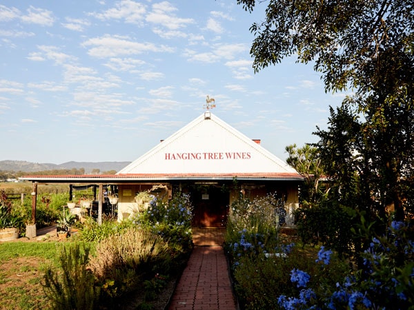 the entrance of Hanging Tree Wines