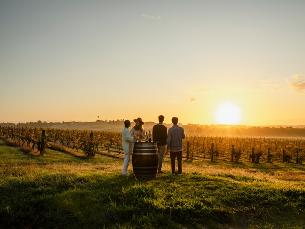 friends enjoying drinks in Hope Estate at sunset