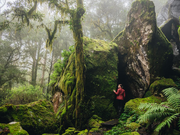 New England National Park