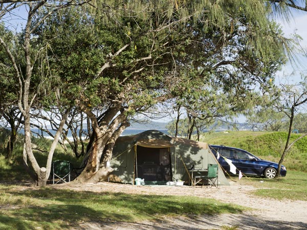 a tent setup under a tree at Noosa North Shore Beach Campground