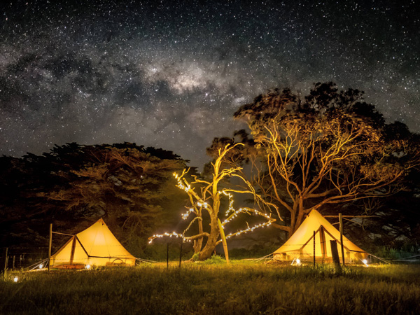 bright and light-filled tents under a starry night at The Sheltered Glamping Co, Phillip Island