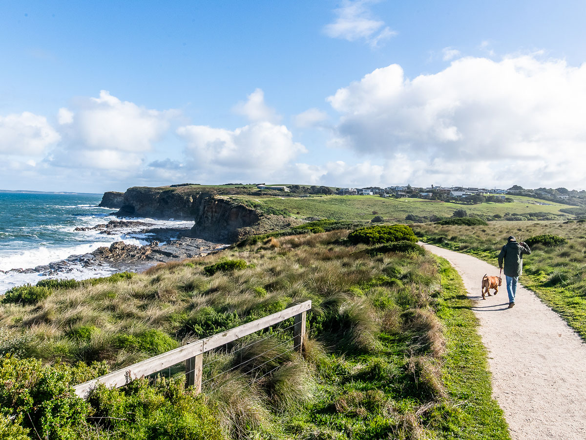 a man walking with a dog along the George Bass Coastal Walk, Phillip Island