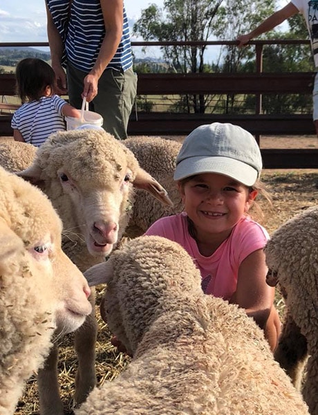 Children, sheep, Barcoos Barn, Perthville, Bathurst Region, NSW, Australia