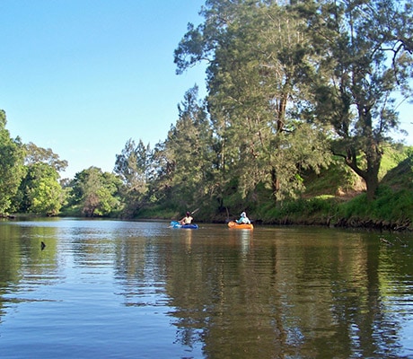Kayak, Mary River, Sunshine Coast, Hinterland