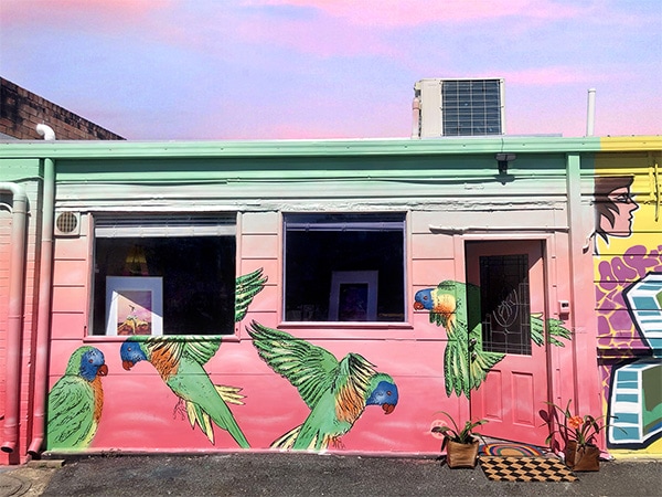 Alykat Creative