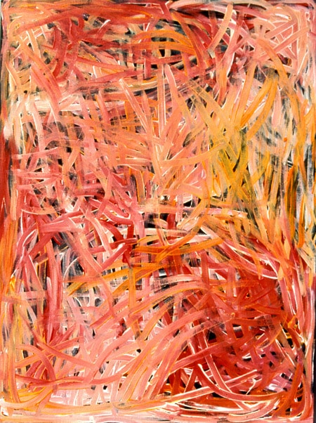 A painting by Emily Kame Kngwarreye captured by photojournalist Penny Tweedie
