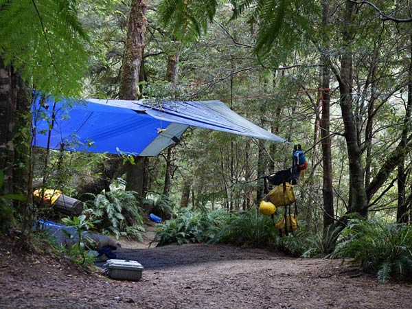 Camping amid river-side rainforest in the Upper Franklin