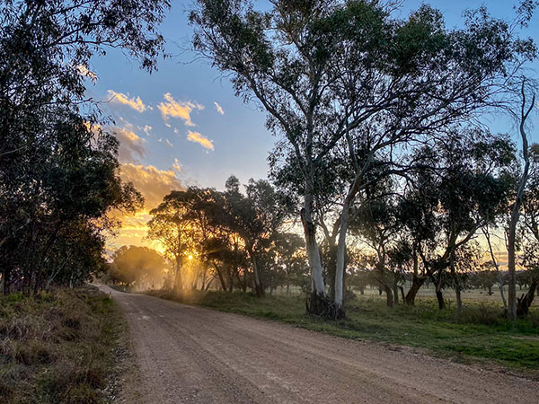 Cycling at sunset, Walcha, NSW Australia
