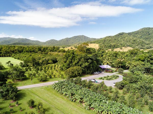 Daintree Ice Cream Company from the air
