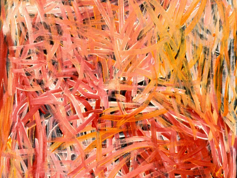 Close-up of a painting by Emily Kame Kngwarreye