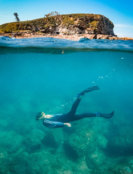 Snorkelling, Mudjimba, Sunshine Coast, Queensland