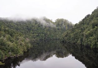 The dark , brooding waters of the Gordon River