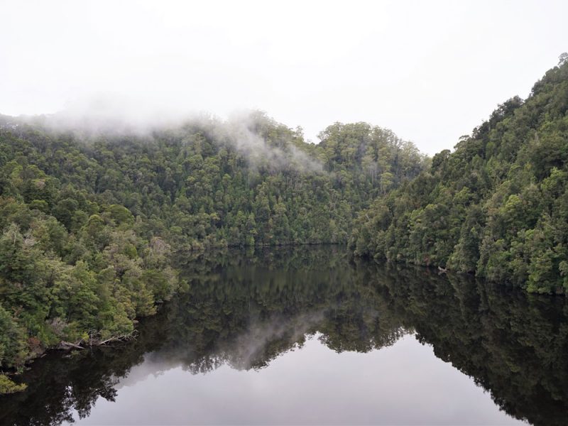 The dark , brooding waters of the Gordon River