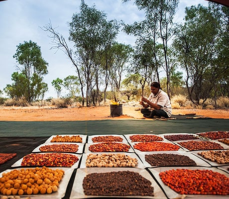 Karrke Aboriginal Cultural Experience, Wanmarra, Kings Canyon, NT