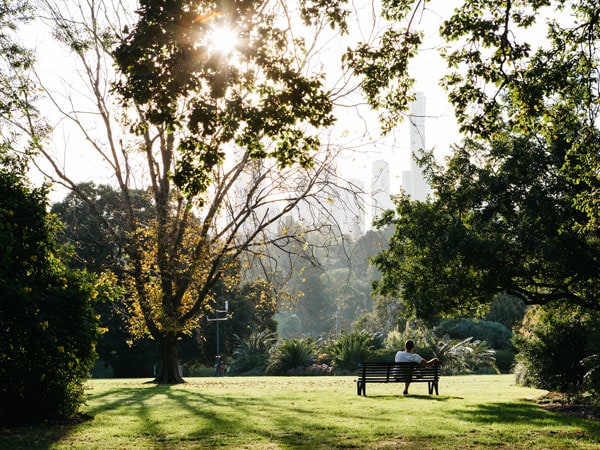 Man sitting on bench in Melbourne's Botanic Gardens
