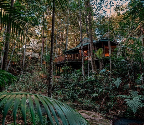 Luxury retreat, Narrows Escape, Sunshine Coast Hinterland