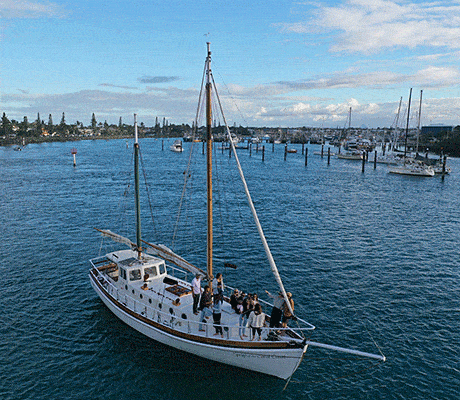 Spray of the Coral Coast, Saltwater Eco Tours, Sunshine Coast, QLD