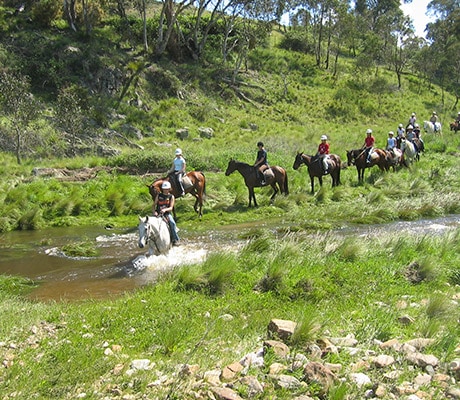 Creek crossing, horse riding, Chesleigh Homestead, Bathurst, NSW, Australia