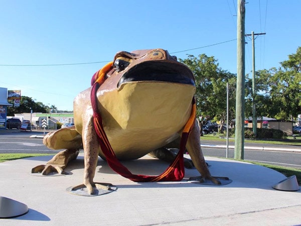 The Big Cane Toad in Sarina, Mackay Queensland
