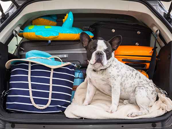 Packed car