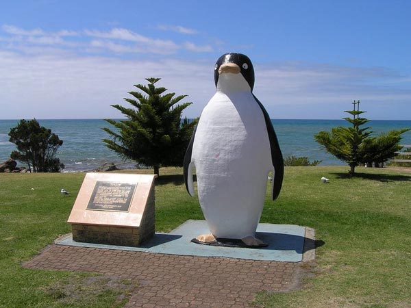 The Big Penguin Tasmania