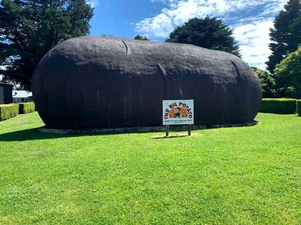 The Big Potato in Robertson NSW