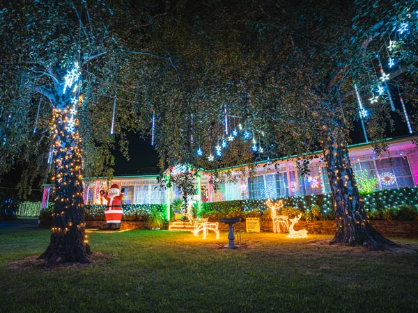 Christmas lights around a house and a garden outside.