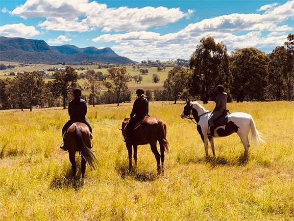 Exploring Hunter Valley's terrain on horseback