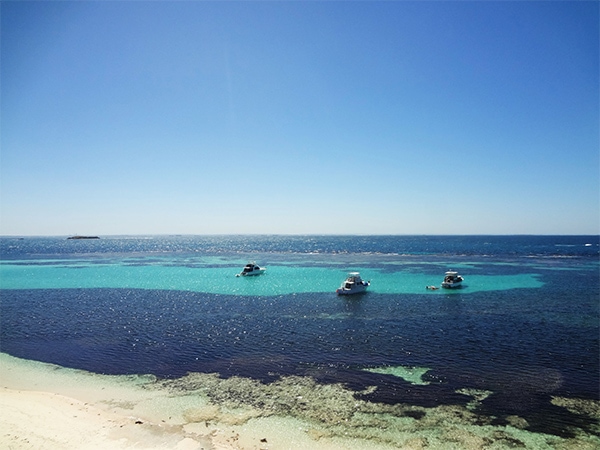 Little Salmon Bay