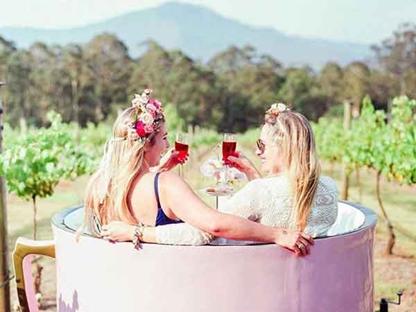 Afternoon Tea, Cambewarra, Shoalhaven, NSW