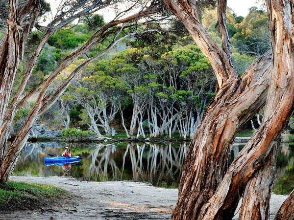 Man kayaking on Chapman River.