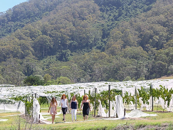 Coolangatta Estate, Shoalhaven, NSW