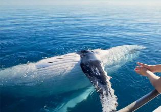 Top things to do in Hervey Bay