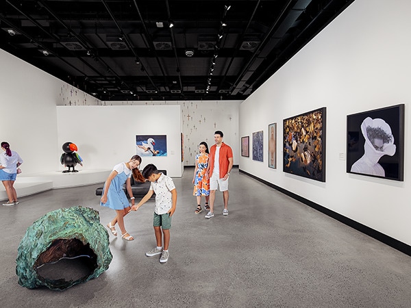 Tourists, HOTA gallery, Home of the Arts, Queensland, Australia