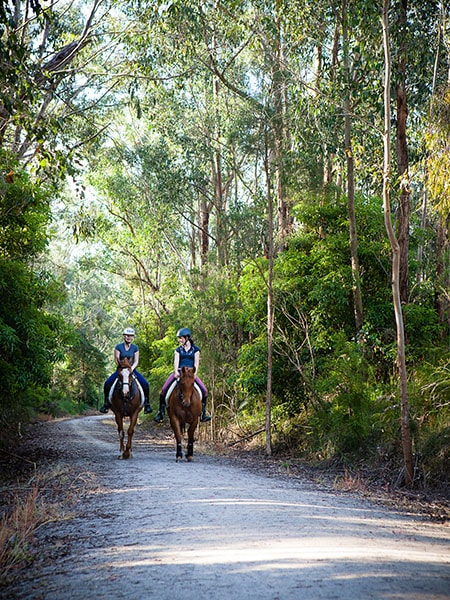 Horse Riding, Great Southern Rail Trail, Gippsland, Australia