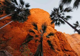 Cooee from Kununurra